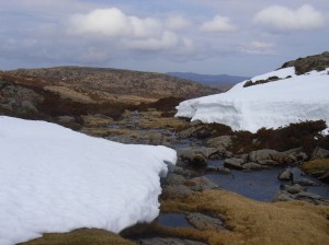 Creek above Meander Falls