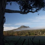 Quamby Bluff, view from Quamby Brook