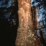Great Khan, Kubla Khan cave
