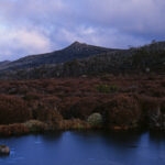 Tumbledown Creek