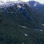 west from top Parsons track